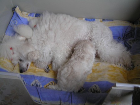 ... když mohu cucat u baru.